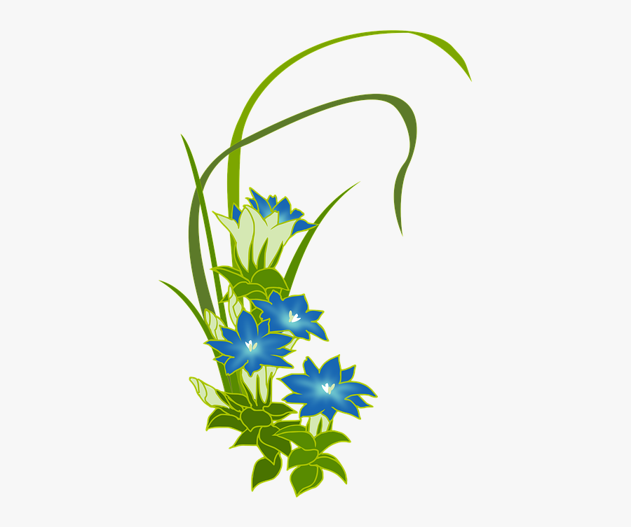 Gentian Wild Grass Blue Flowers Fuderindou リンドウ の 花 イラスト Free Transparent Clipart Clipartkey Gentian Wild Grass Blue Flowers Fuderindou リンドウ の 花 イラスト Free Transparent Clipart Clipartkey