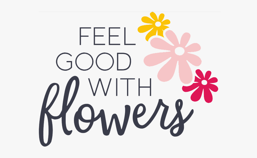 African Daisy, Transparent Clipart