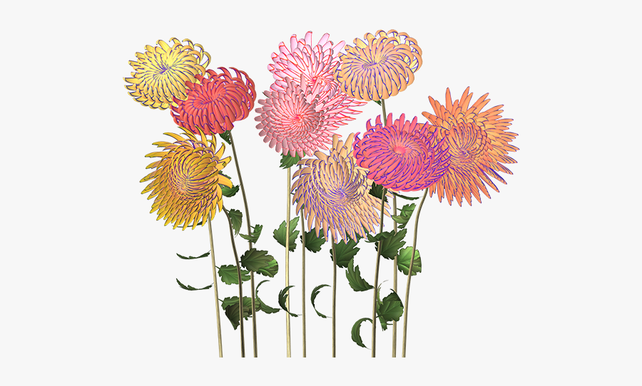 Jennifer Steinkamp Flower, Transparent Clipart
