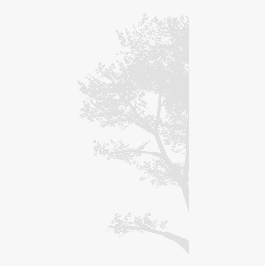 Sketch, Transparent Clipart