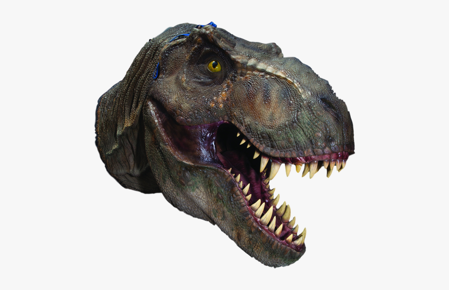 T Rex Head Png, Transparent Clipart