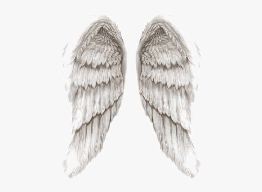 Angel Wings Png, Transparent Clipart