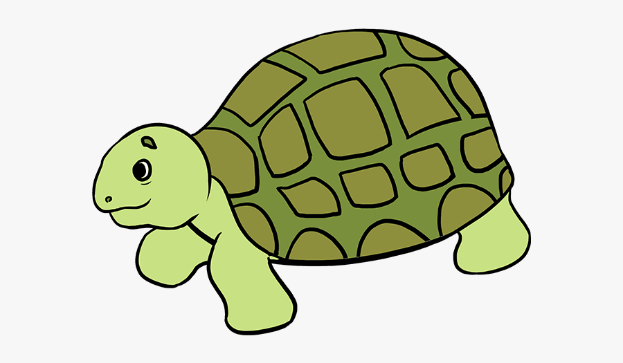 Drawing Dory Sea Turtle - Easy Step By Step Easy Turtle Drawing, Transparent Clipart