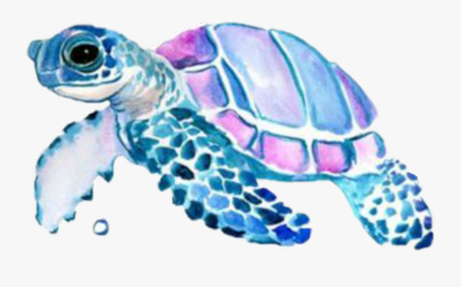 Freetoedit Tumblr Scturtle Turtle - Transparent Watercolor Sea Turtle, Transparent Clipart