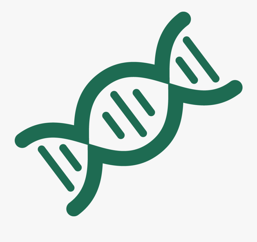 Research, Transparent Clipart