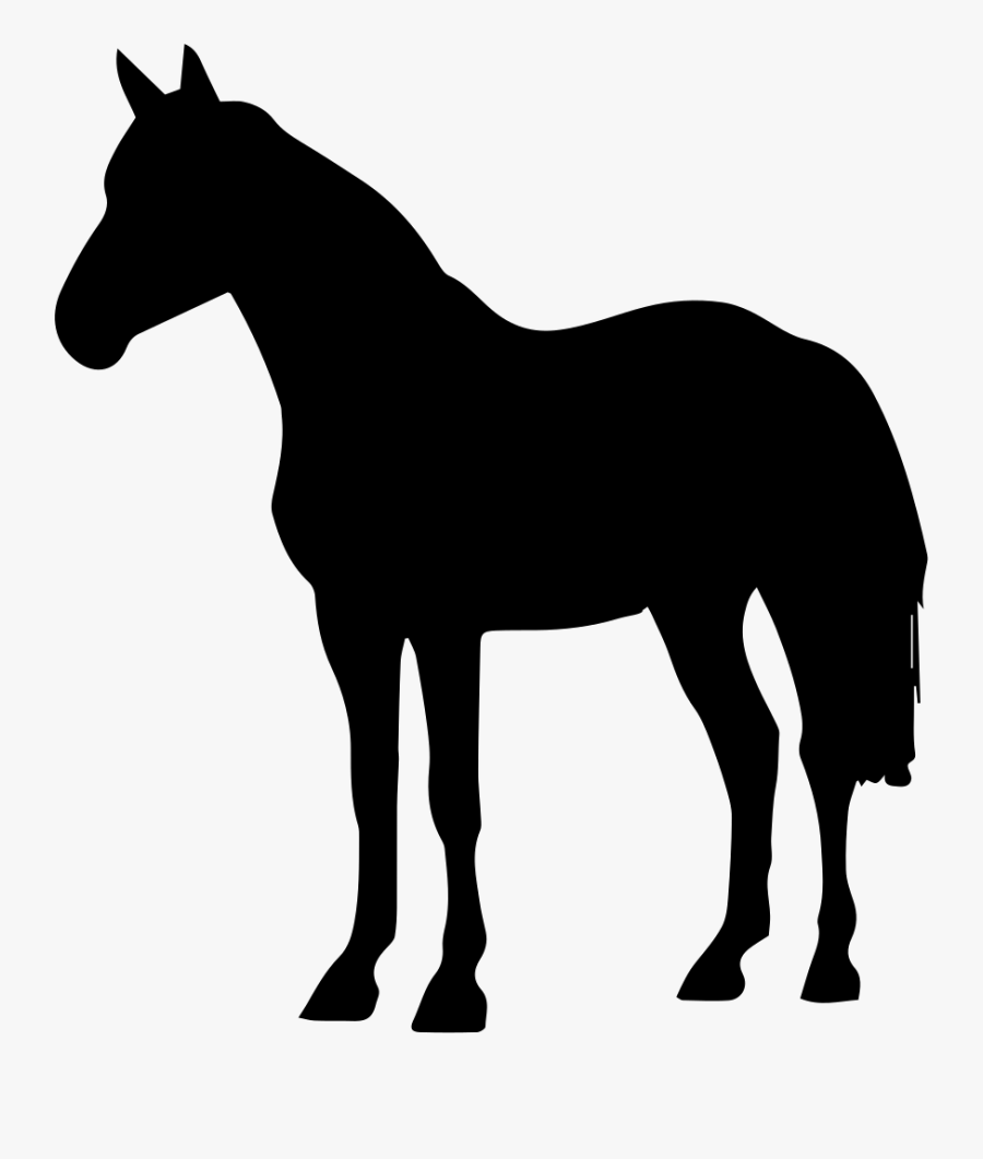 Arabian Horse Black Forest Horse Friesian Horse Silhouette - Quarter Horse Silhouette, Transparent Clipart