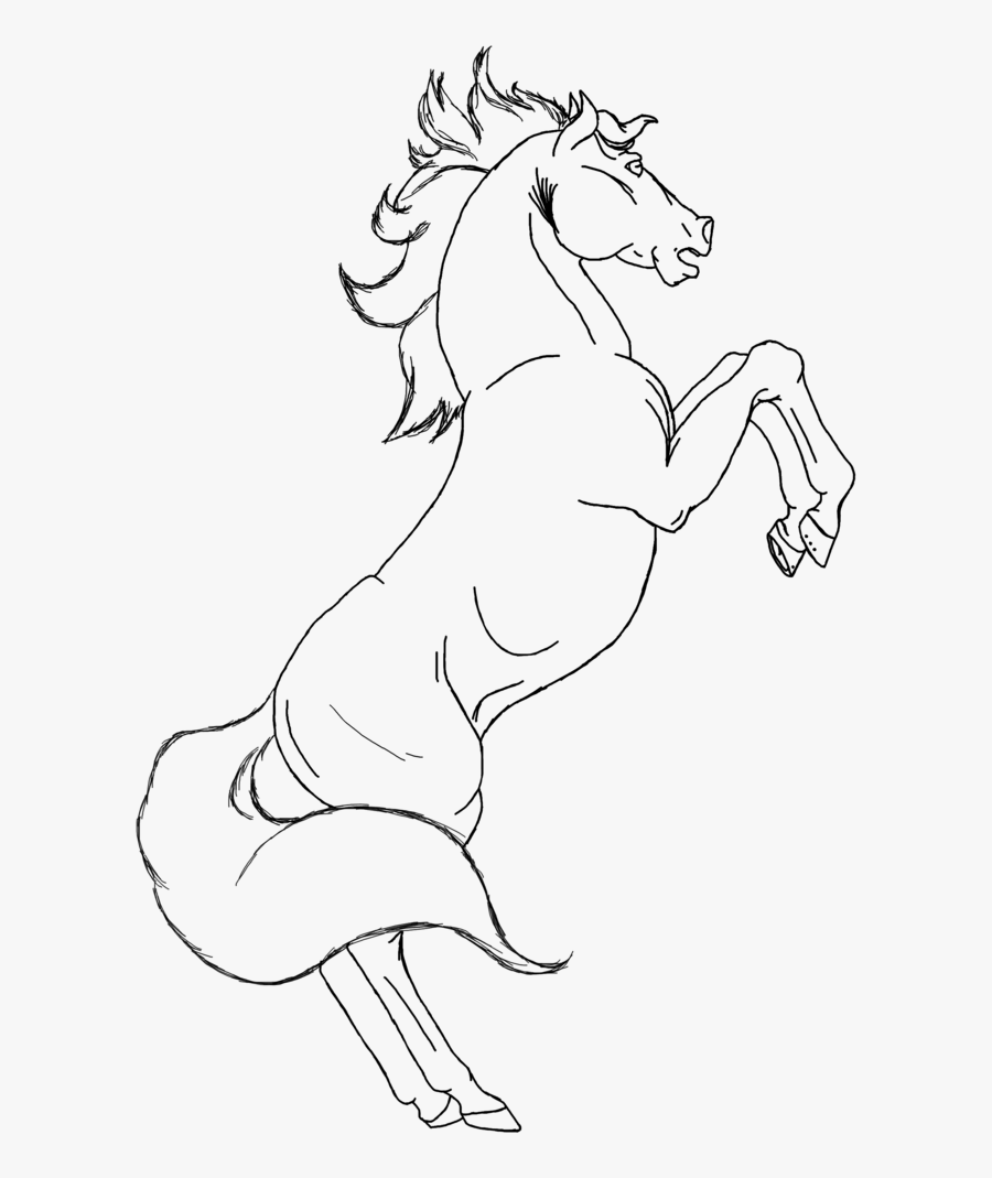 Transparent Rearing Horse Clipart - Horse Rearing Front View Clipart, Transparent Clipart