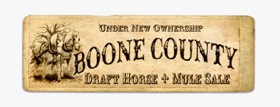 Calligraphy, Transparent Clipart