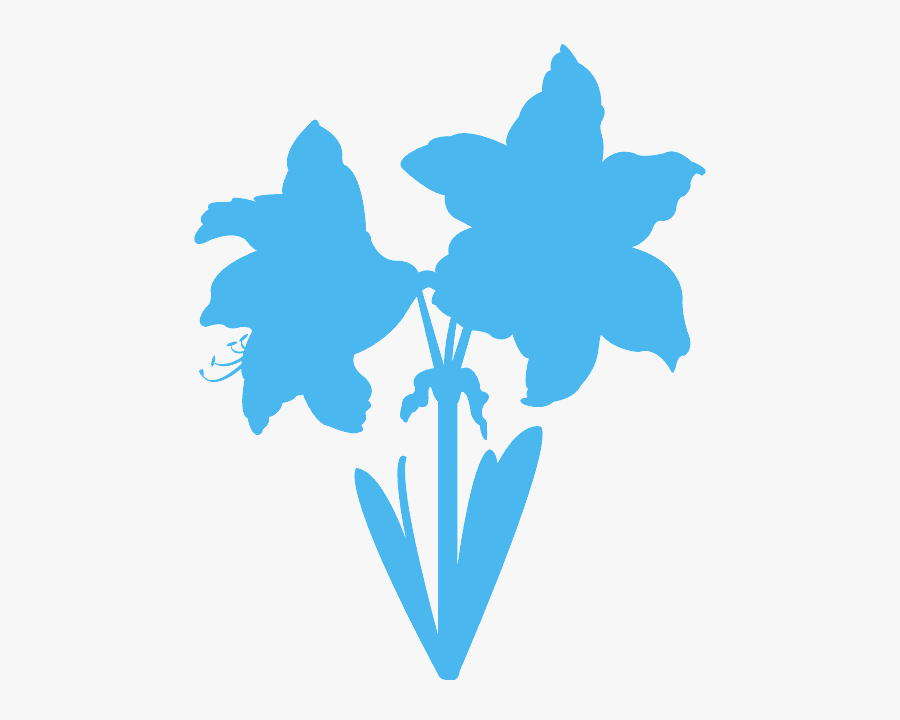 Amaryllis Silhouette, Transparent Clipart