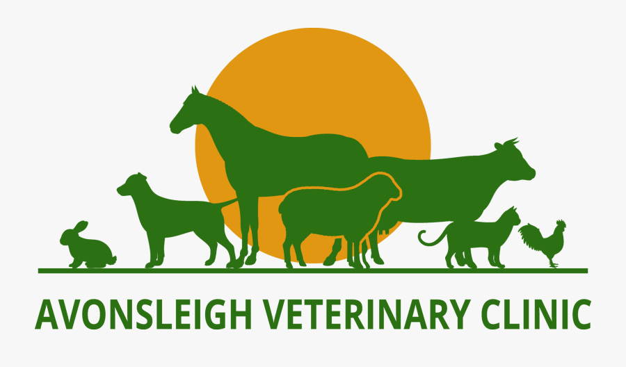 We Love Them Like They Love You - Farm Vet Logo, Transparent Clipart