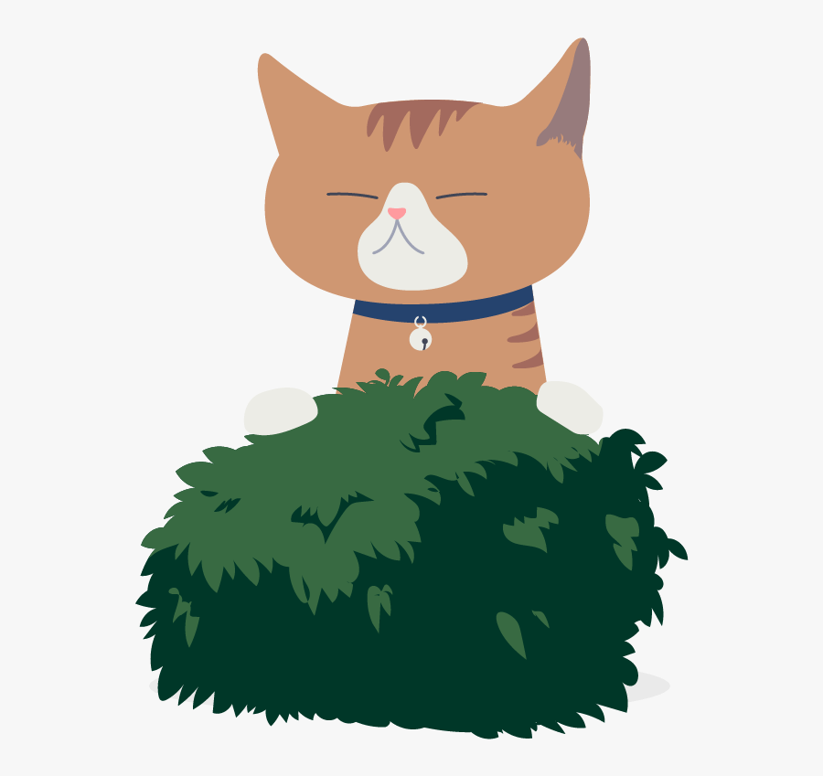 Domestic Short-haired Cat, Transparent Clipart