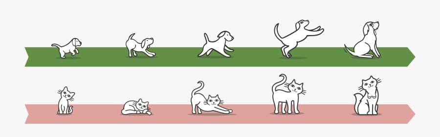 Cartoon, Transparent Clipart