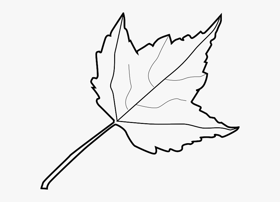 Black And White Leave, Transparent Clipart