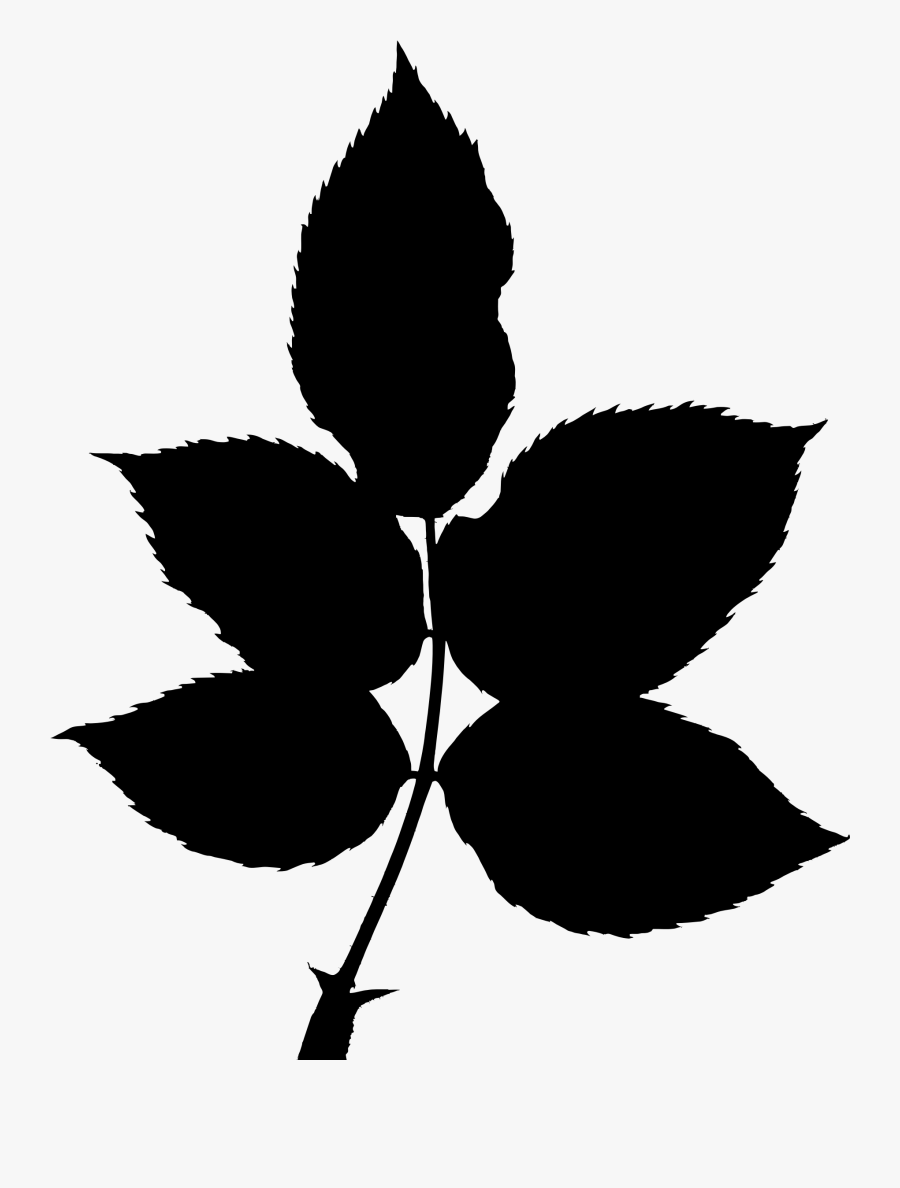All Photo Png Clipart - Leaf Rose Vector Png, Transparent Clipart