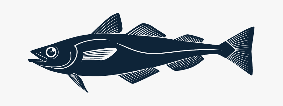 Weakfish - Illustration, Transparent Clipart