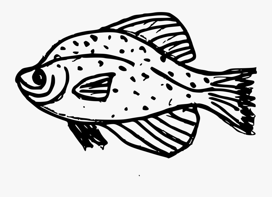 Fish,fish,line Art,illustration,black And White,coloring, Transparent Clipart
