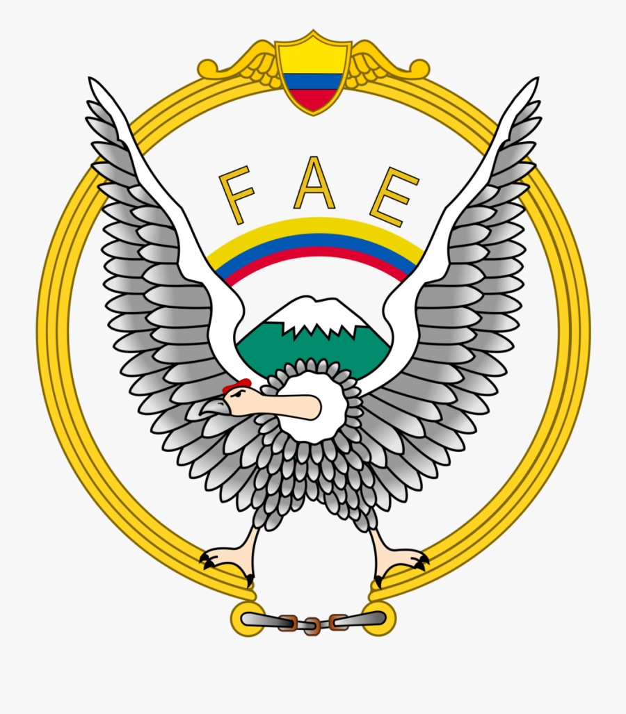 Military Plane Crash Kills 22 In Ecuador - Ecuadorian Air Force, Transparent Clipart