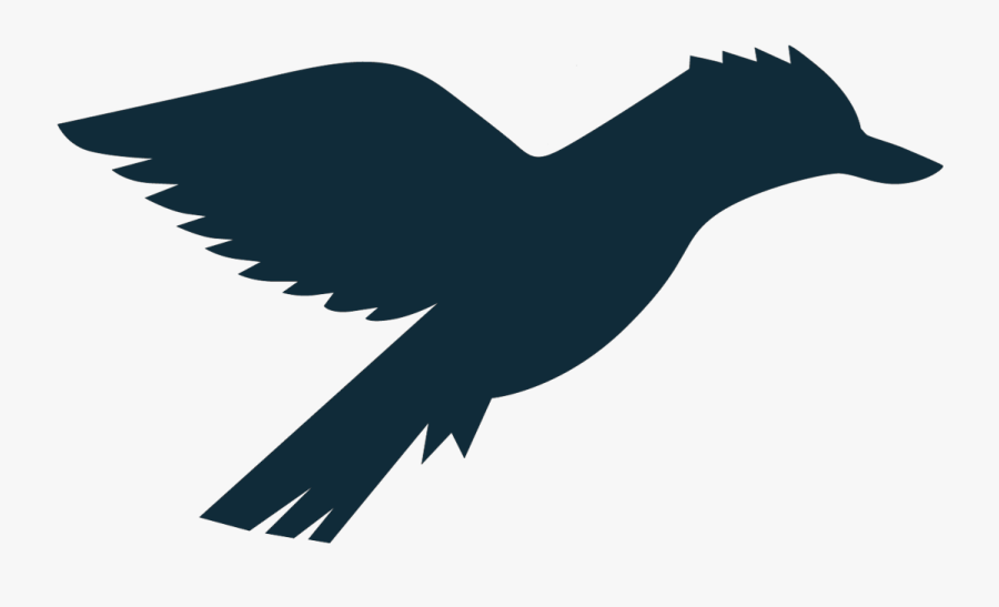 Steller S Jay, Transparent Clipart