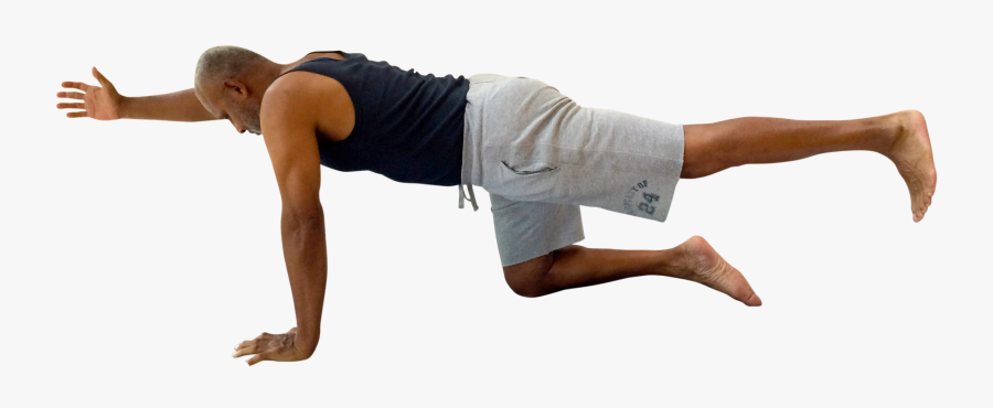 Plank, Transparent Clipart