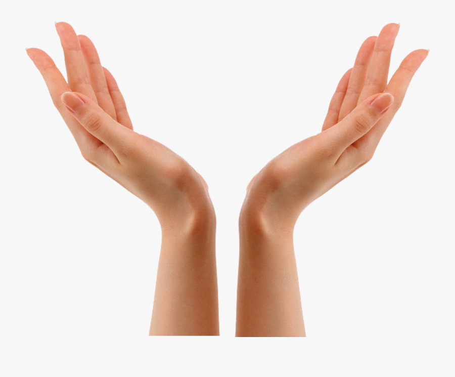 Hands Png Clipart, Transparent Clipart
