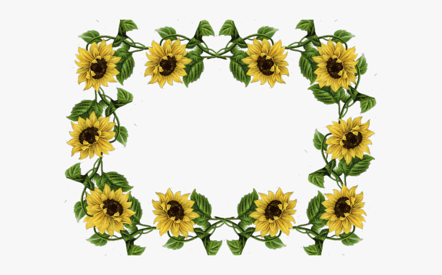 Sunflower Clipart Yellow Sunflower - Sunflower Transparent Background Frame, Transparent Clipart