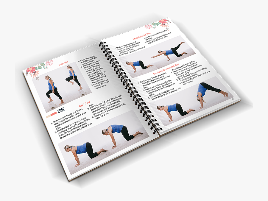 Flyer, Transparent Clipart