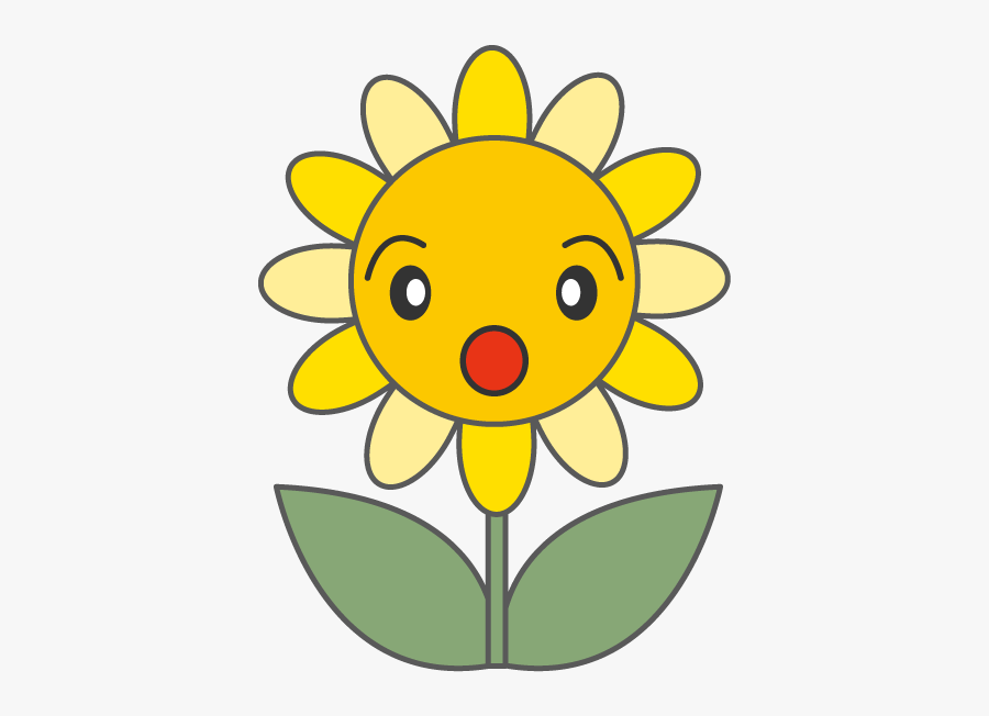 Chrysanthemum Name Flower Activity, Transparent Clipart