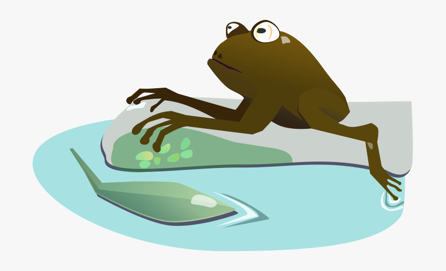 True Frog, Transparent Clipart