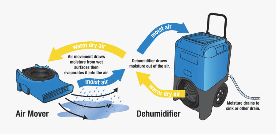 Flood Clipart Water Damage - Water Damage Diagram, Transparent Clipart