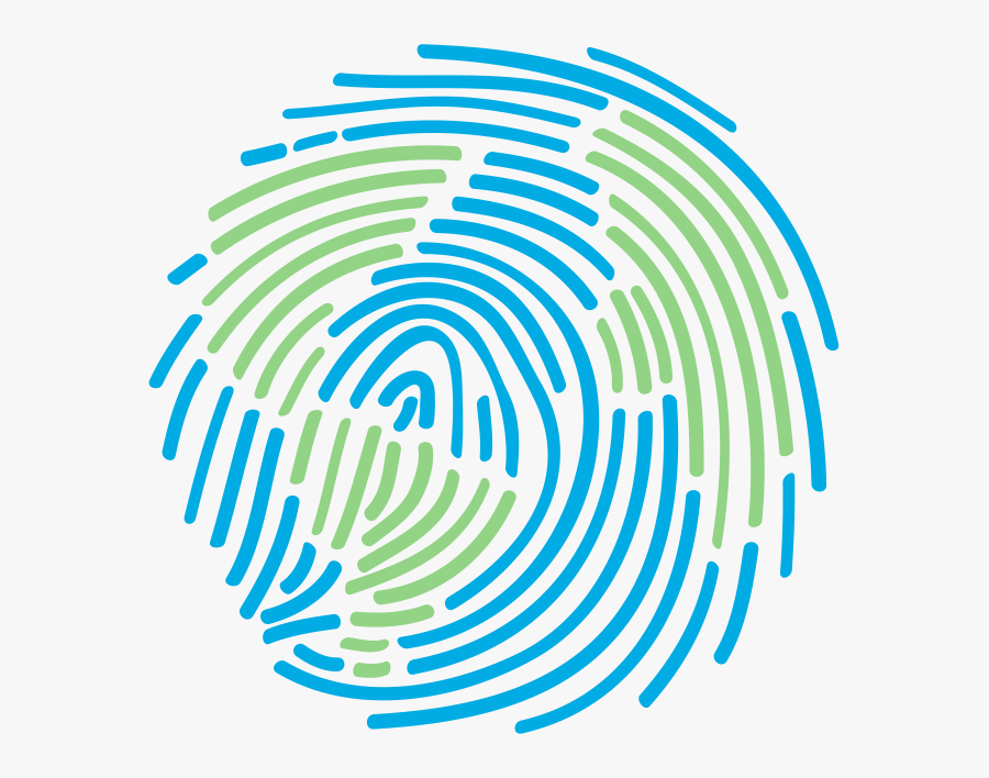 Graphic Design, Transparent Clipart