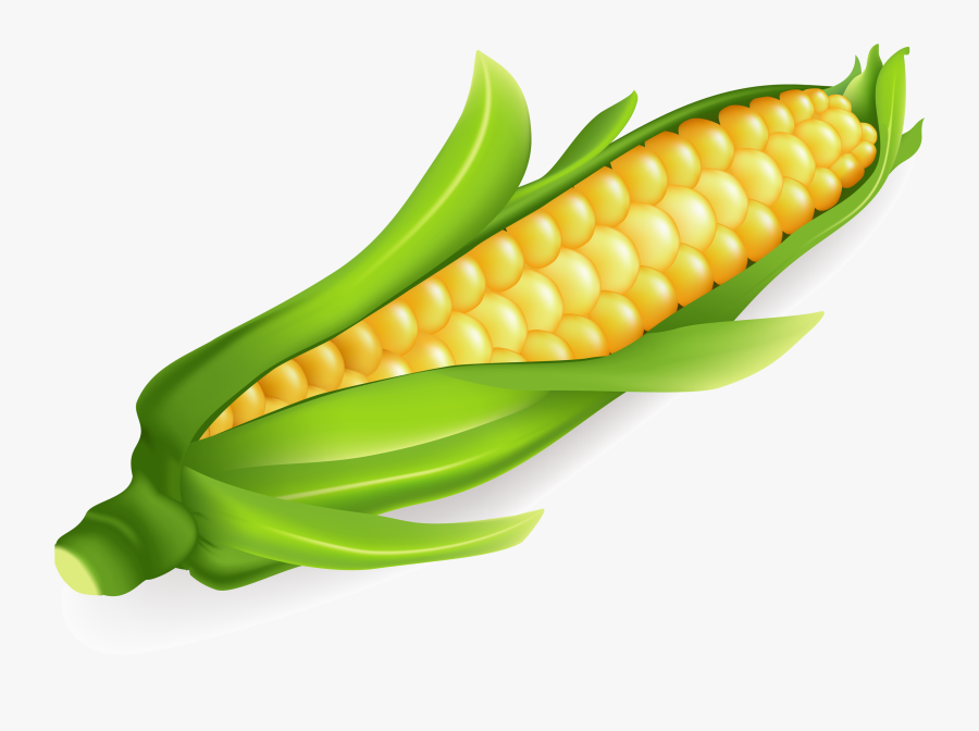 Clip Art On The Cob Maize - Mais Clip Art, Transparent Clipart