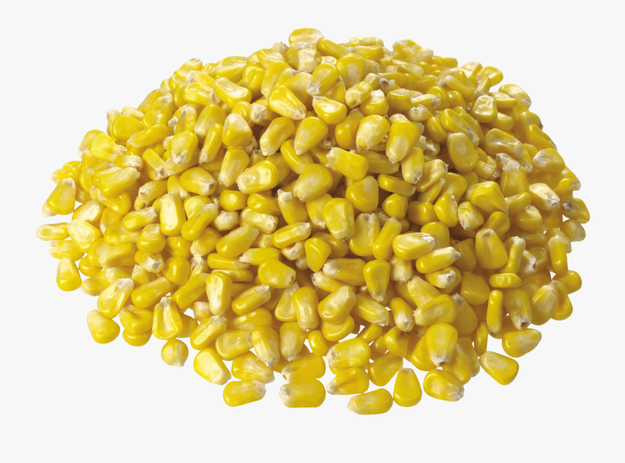 Corn Png Image - Corn Png, Transparent Clipart