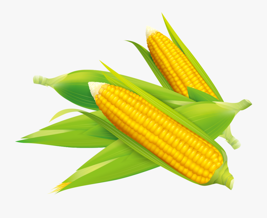 Free Free 167 Sweet Corn Svg SVG PNG EPS DXF File