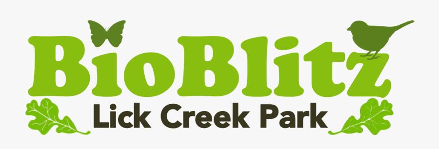 Bioblitz Lick Creek Park, Transparent Clipart
