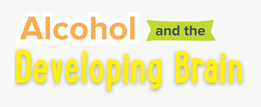 Alcohol And The Developing Brain - Graphic Design, Transparent Clipart
