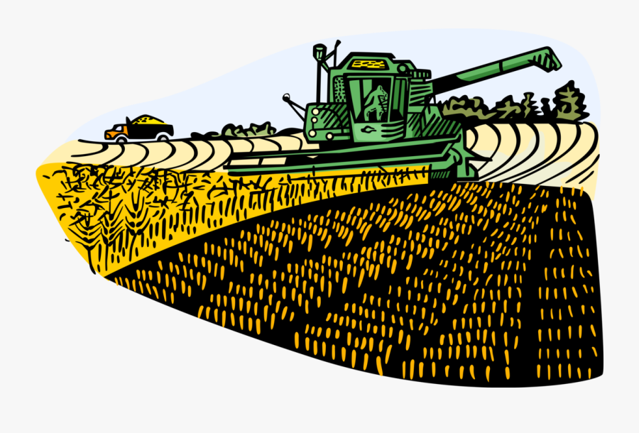 Vector Illustration Of Fall Or Autumn Harvest Time - Illustration, Transparent Clipart