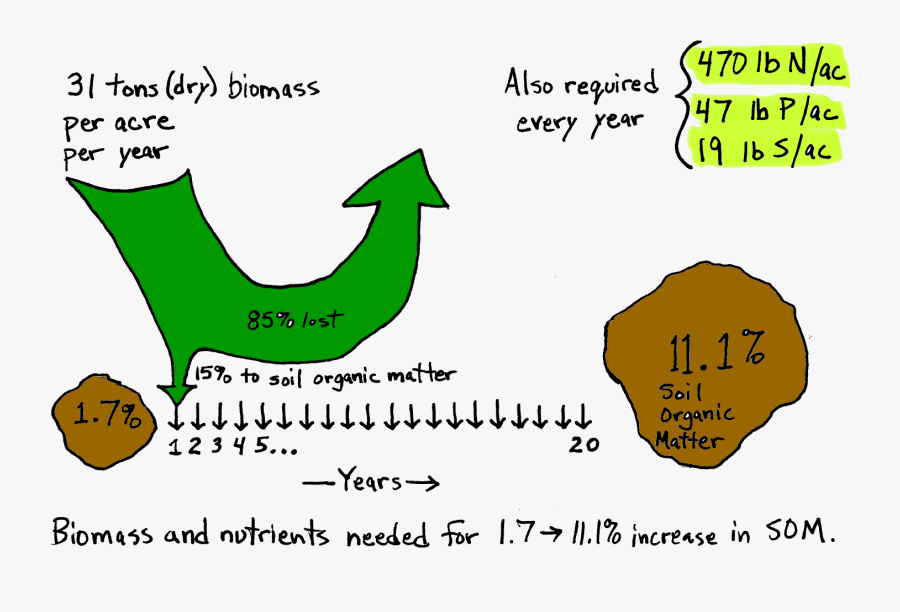 Diagram Indicates That Every Year, 31 Tons Biomass, Transparent Clipart