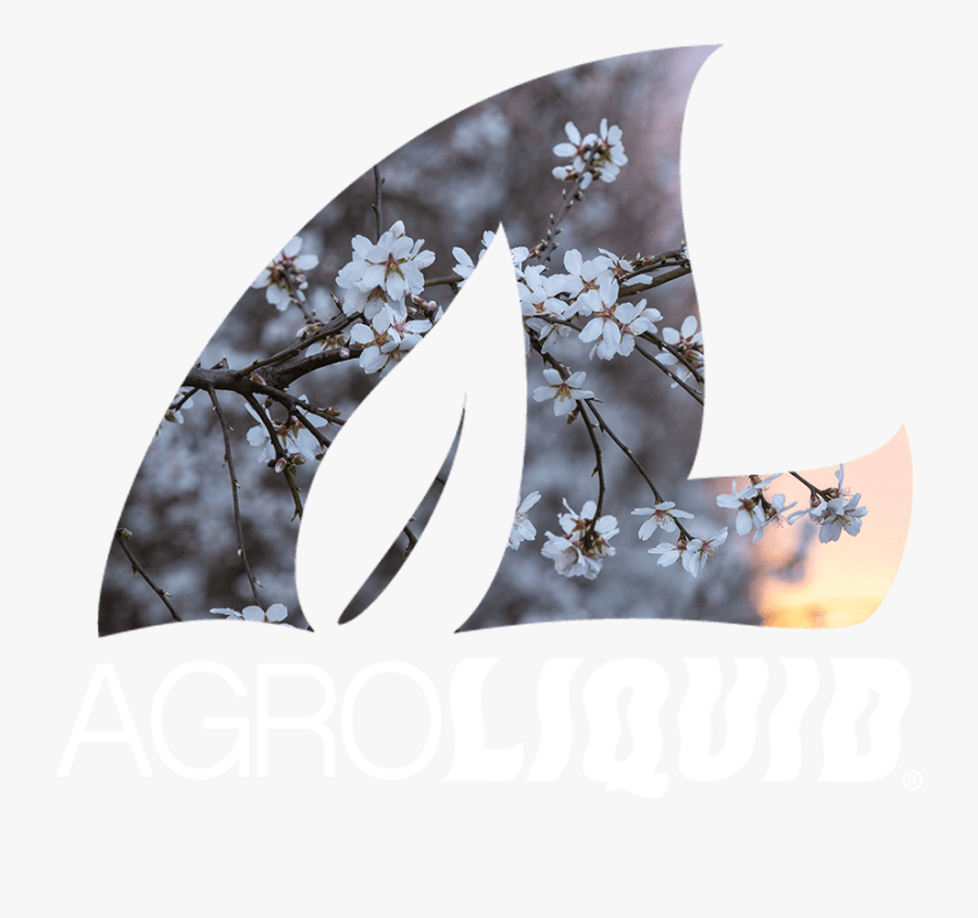 Agroliquid - Magnolia, Transparent Clipart
