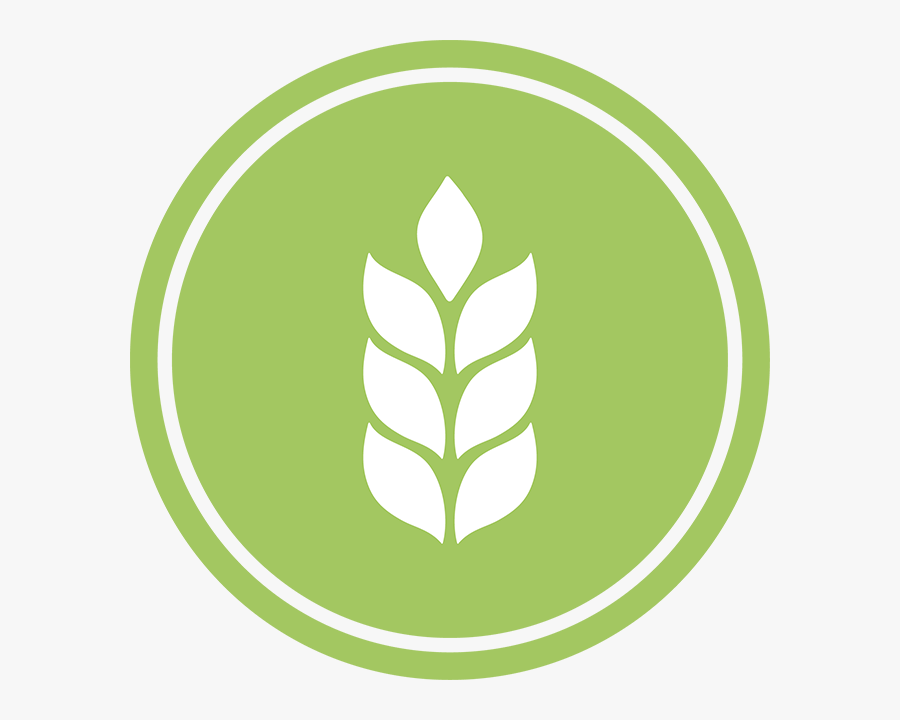 Charlotte Metro Credit Union Logo, Transparent Clipart