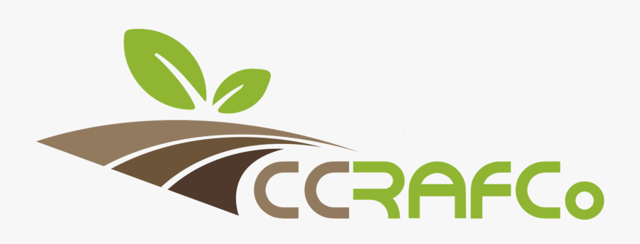 Graphic Design, Transparent Clipart