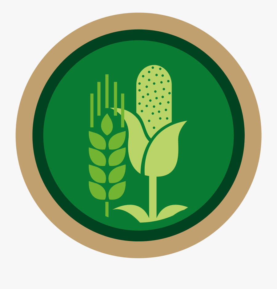 Emblem, Transparent Clipart