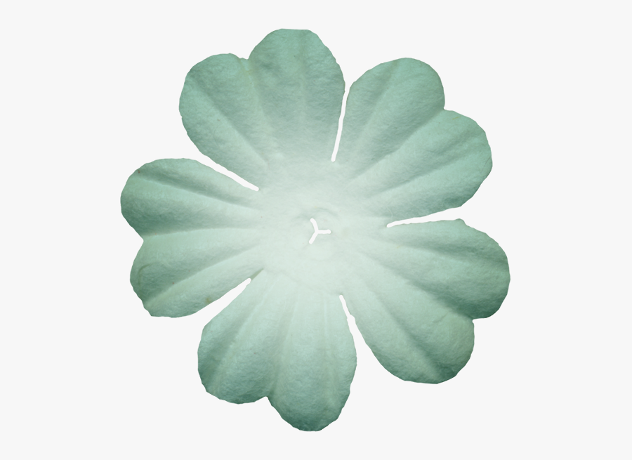 Flowers Of The Picnic Clipart - Impatiens, Transparent Clipart