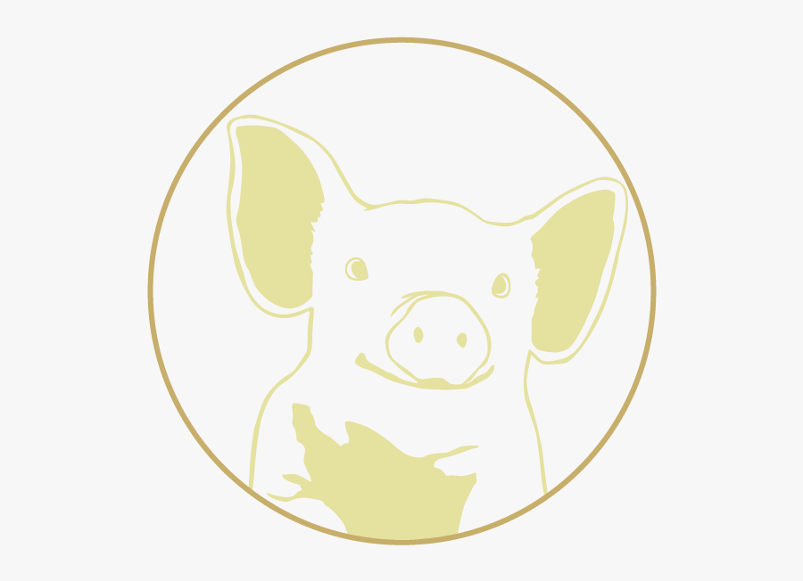 Dog, Transparent Clipart