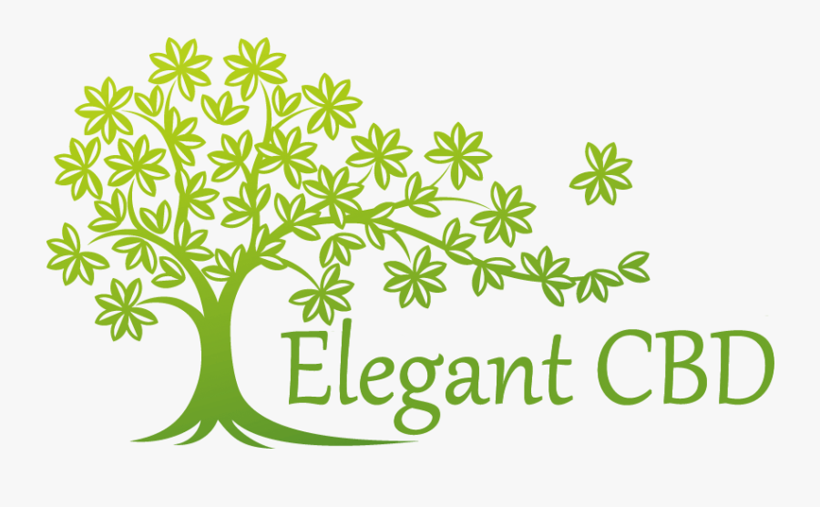 Tree Concept, Transparent Clipart