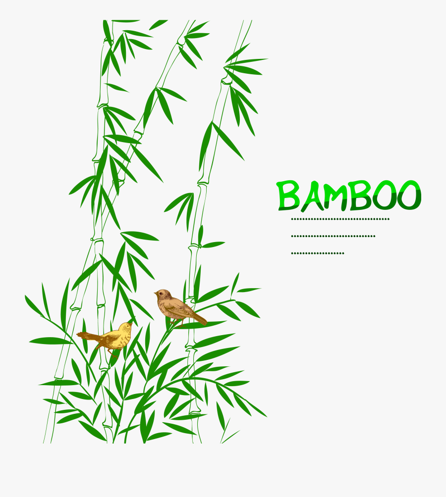 Clip Art Bird Drawing Trees Decoration - Bamboo Graphic Design Png, Transparent Clipart