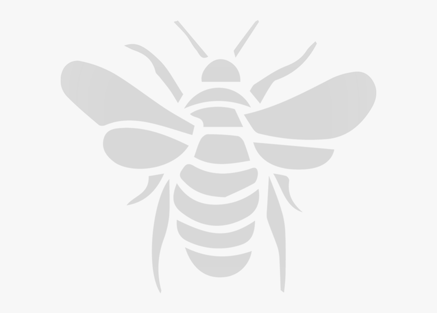 Bee, Transparent Clipart