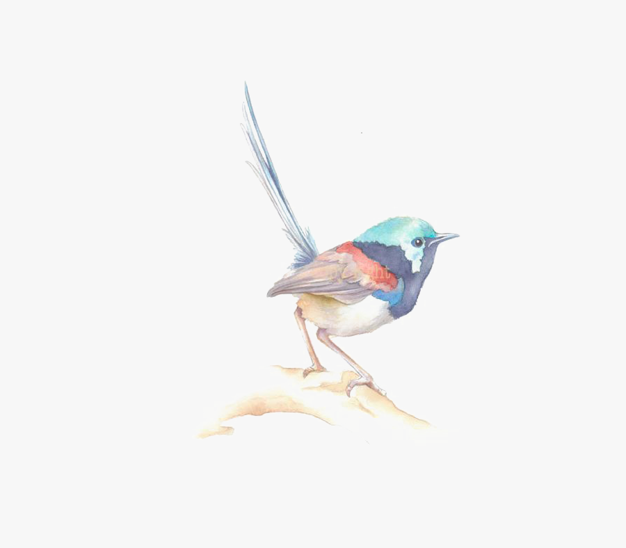 Sparrow Png Image & Sparrow Clipart - Watercolor Painting, Transparent Clipart