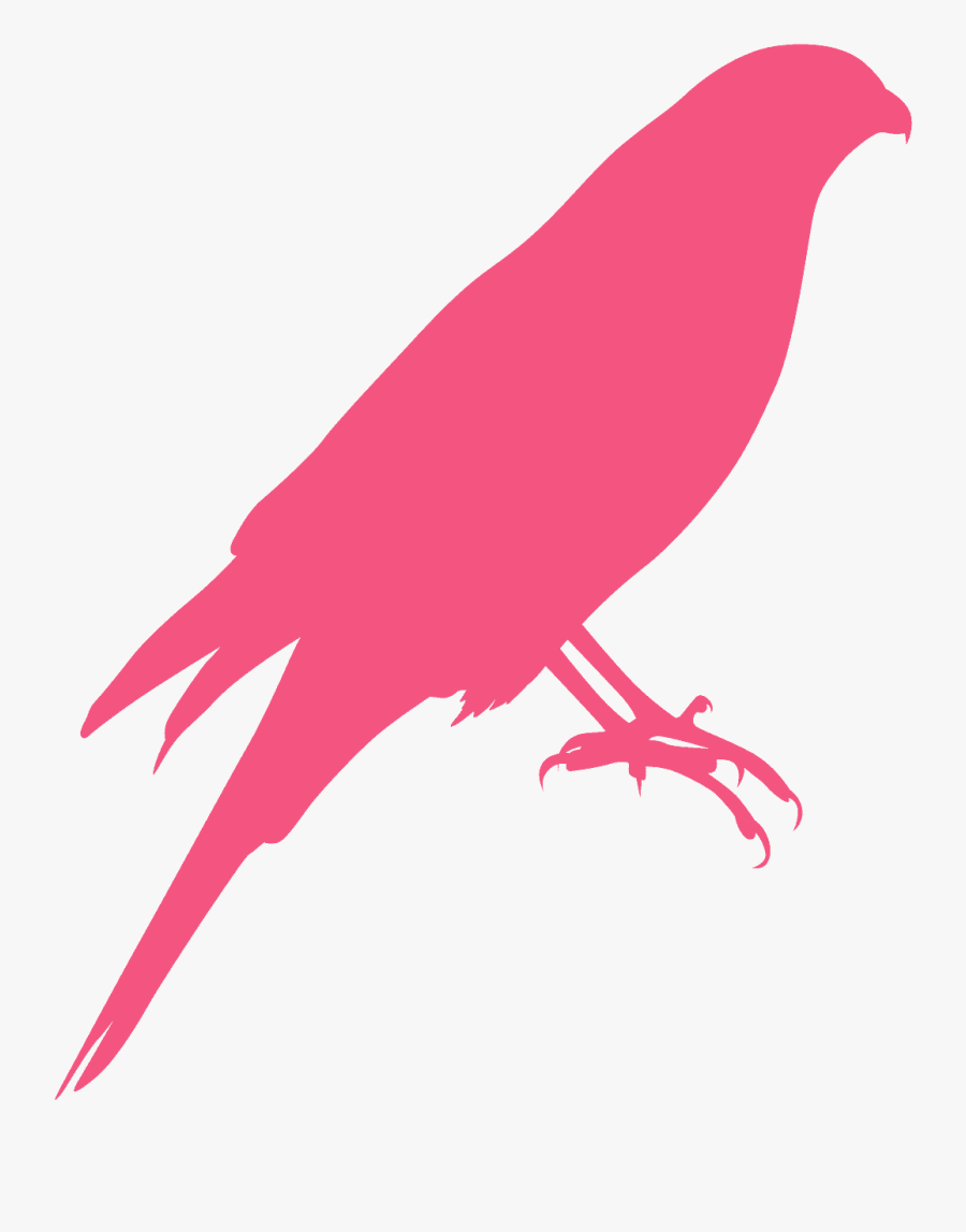 Perching Bird, Transparent Clipart