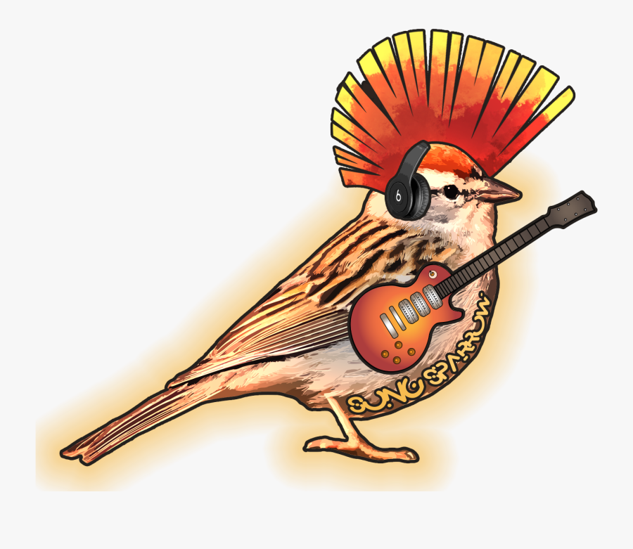 Chipping Sparrow Male And Female, Transparent Clipart