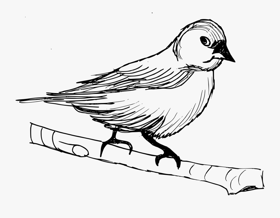 Sparrow - Finch, Transparent Clipart